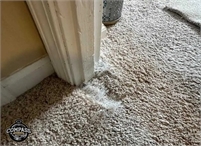  Cincinnati Carpet  Repair